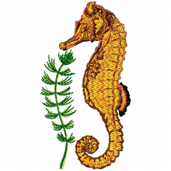 Fishes Embroidery Design 2 Fishes Embroidery Design 2